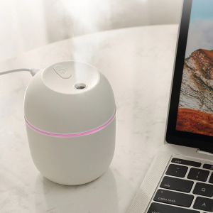 Mini Humidifier
